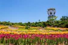 冲永良部岛的旅游景点图片(6)
