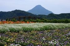 池田湖的旅游景点图片(1)