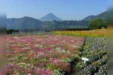 池田湖的旅游景点图片(2)