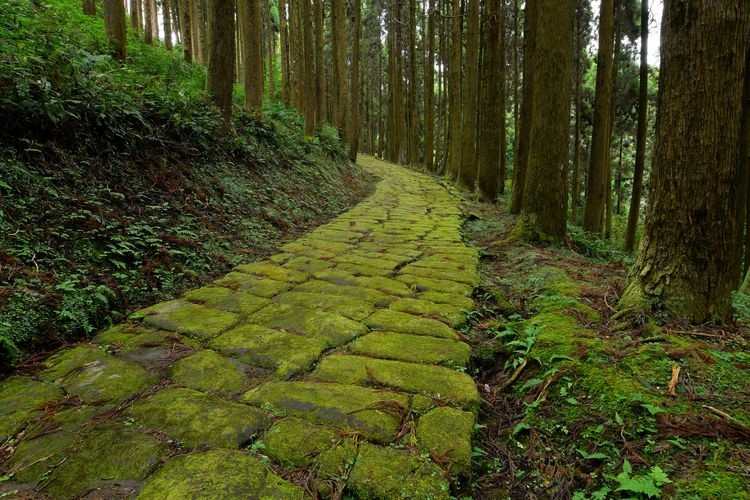 龍門司坂 2