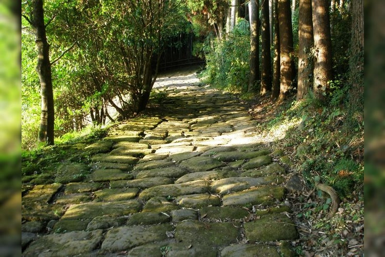 龍門司坂 3