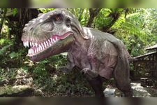 Tourist destination images of DINO Dinosaur PARK Yanbaru Subtropical Forest(2)