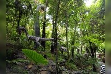 Tourist destination images of DINO Dinosaur PARK Yanbaru Subtropical Forest(3)