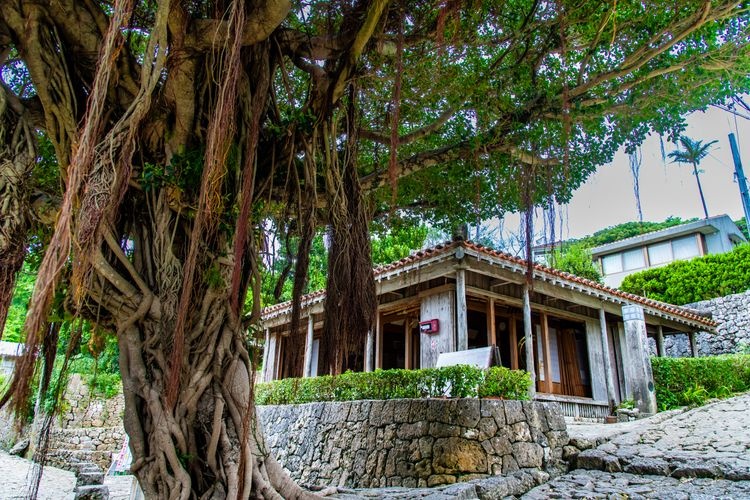 Tourist destination images of Shuri Kinjocho Cobblestone Path(3)