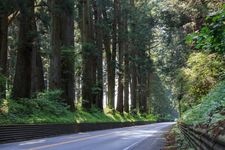 Tourist destination images of Nikko Cedar Avenue(1)