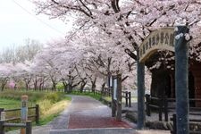 Tourist destination images of Kinchakuda Manjushage Park(1)