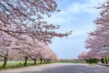 Tourist destination images of Omiya Park(3)