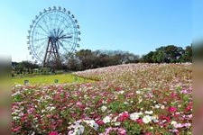 Tourist destination images of Tobu Zoo Park(1)