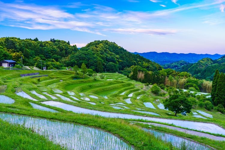 Tourist destination images of Oyama Senmaida(2)