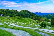 Tourist destination images of Oyama Senmaida(2)