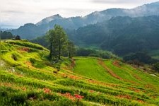 Tourist destination images of Oyama Senmaida(4)