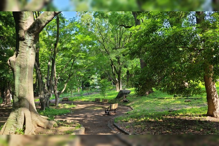 Asukayama Park