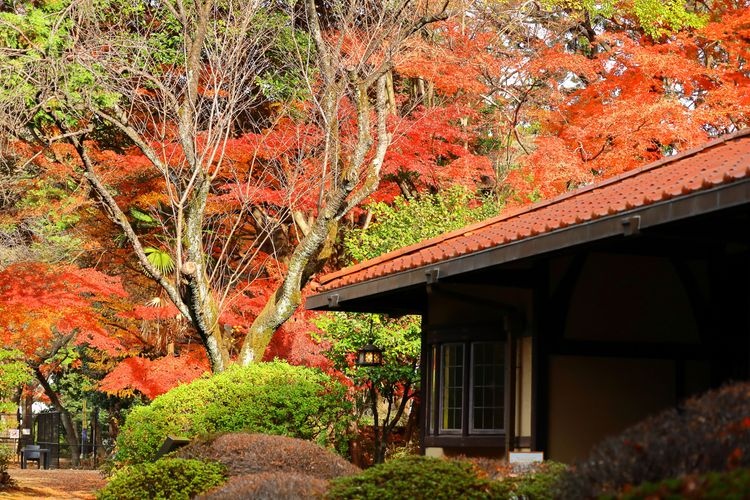 Asukayama Park 2