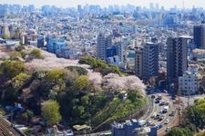 Tourist destination images of Asukayama Park(5)