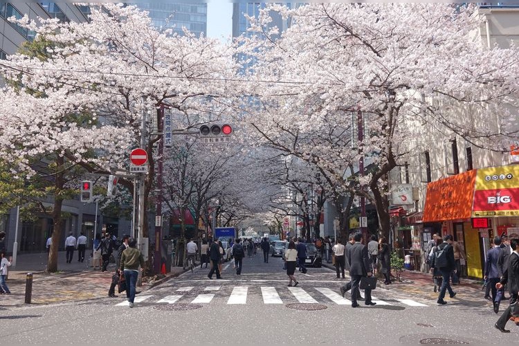 Nihonbashi Sakura-dori