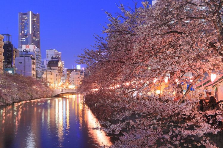 Ōoka River Promenade