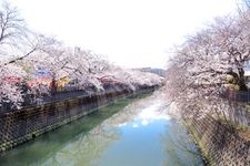 Tourist destination images of Ōoka River Promenade(2)