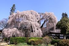 Tourist destination images of Jiunji Temple(3)