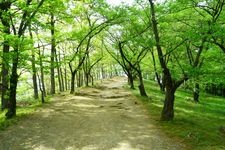 Tourist destination images of Kofunyama Kofun(2)