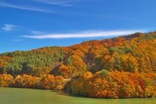 Tourist destination images of Momiji Lake (Minowa Dam)(2)