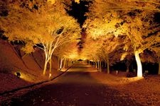 Tourist destination images of Momiji Lake (Minowa Dam)(4)