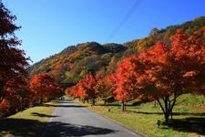 Tourist destination images of Momiji Lake (Minowa Dam)(5)