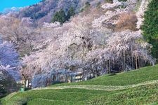 Tourist destination images of Kasama-ga-kei(2)