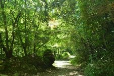 Tourist destination images of Iwayado Park, Aichi Kogen Quasi-National Park(4)