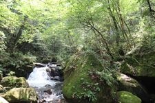 Tourist destination images of Iwayado Park, Aichi Kogen Quasi-National Park(6)