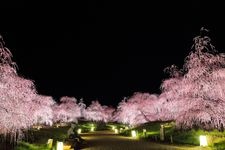 Tourist destination images of Suzuka no Mori Garden(2)