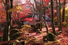 Tourist destination images of Kyourinbo Temple(1)