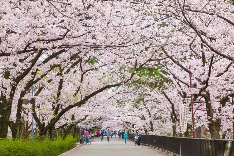 Sukawacho Park