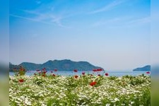 Tourist destination images of Flower Park Urashima(1)