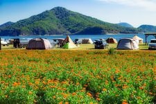 Tourist destination images of Flower Park Urashima(4)