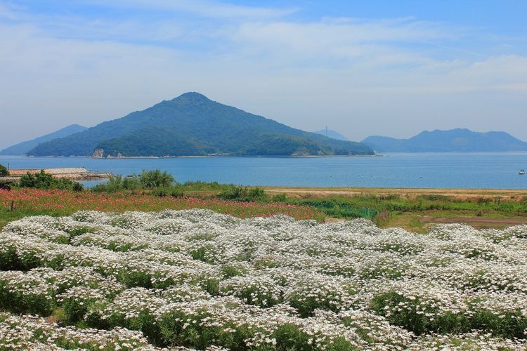 Flower Park Urashima