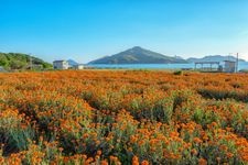 Tourist destination images of Flower Park Urashima(4)