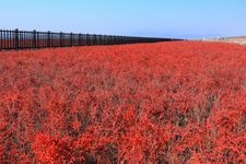 Tourist destination images of Higashiyoga Coast Shichimen-sou Colony(1)