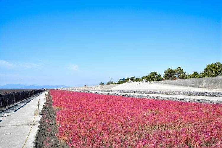 Tourist destination images of Higashiyoga Coast Shichimen-sou Colony(2)