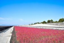 Tourist destination images of Higashiyoga Coast Shichimen-sou Colony(2)
