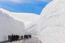 Tourist destination images of Snow Wall of Otani(2)