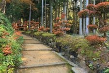 Tourist destination images of Omi Kofu-an Temple(5)