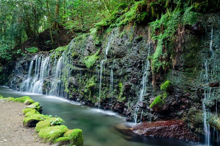 Senjo-no-taki Waterfall