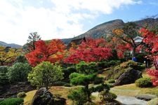 箱根美術館的觀光景點圖片(2)