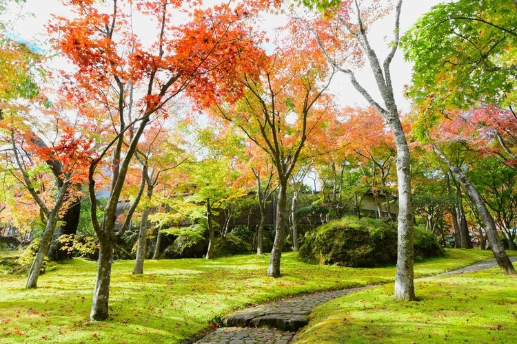 箱根美术馆 3