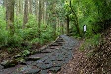 Tourist destination images of Old Tokaido Road: Hakone-juku Cedar Avenue(2)