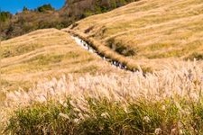 Tourist destination images of Sengokuhara(3)