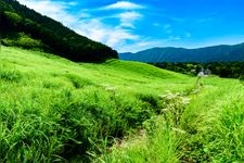 Tourist destination images of Sengokuhara(1)