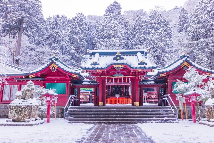 Tourist destination images of Hakone Shrine(3)
