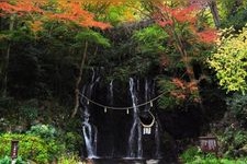 Tourist destination images of Tamadarea no Taki (Tamadarea Waterfall)(2)