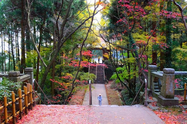 Negoroji Temple